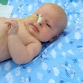 Free Baby With Flower Royalty Free Stock Photos - 8585028
