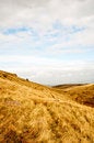Free Open Moorland Royalty Free Stock Photos - 8589798