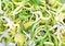 Free Onion Salad Background Royalty Free Stock Photography - 8580397