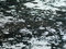 Free Rain On Asphalt. Drops. Stock Photos - 8583813