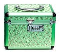 Free Green Safe Box Royalty Free Stock Images - 8592309