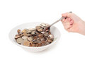 Free Monetary Meal 2 Stock Photo - 8594500