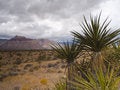Free Nevada Royalty Free Stock Image - 8599856