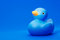 Free Blue Rubber Duck On Blue Background Stock Images - 8592104