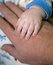 Free Hands Royalty Free Stock Images - 8597529