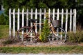 Free Vintage Bicycle By Fence Stock Images - 868714