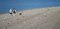 Free Beach Stroll Stock Photo - 865230