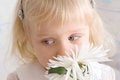 Free Little Beautiful Girl Royalty Free Stock Photography - 8600257