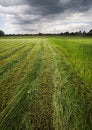 Free Non-urban Scene Royalty Free Stock Photography - 8602227