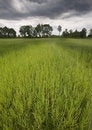 Free Non-urban Scene Royalty Free Stock Photography - 8602247