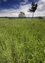 Free Non-urban Scene Stock Photos - 8602493
