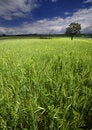 Free Non-urban Scene Stock Photo - 8602510