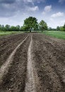 Free Non-urban Scene Royalty Free Stock Photos - 8603368