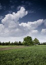 Free Non-urban Scene Royalty Free Stock Image - 8603396