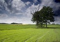 Free Non-urban Scene Stock Image - 8603541