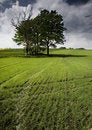 Free Non-urban Scene Stock Image - 8603571