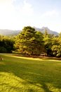 Free Park Of Crimea Royalty Free Stock Image - 8608076