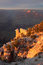 Free Grand Canyon National Park, USA Stock Image - 8604331
