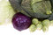 Free Cabbages Stock Image - 8606301