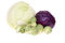 Free Cabbages Stock Image - 8606341