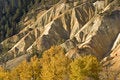 Free Hillside Ravine Stock Image - 8610211