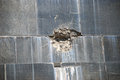 Free Hit Over Gray Wall Royalty Free Stock Photo - 8610525