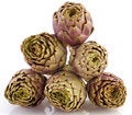 Free Artichokes On White Background Stock Image - 8614481
