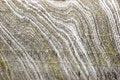 Free Salt Rough Pattern Stock Image - 8614521