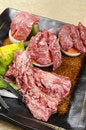 Free Barbecue Meat Royalty Free Stock Images - 8617739