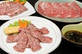 Free Barbecue Meat Stock Photo - 8617870