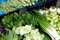 Free Pengzhou, China: Produce At Tian Fu Market Royalty Free Stock Photo - 8612885