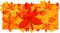 Free Autumn Leaves Stock Photos - 8615353
