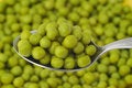 Free Green Peas Royalty Free Stock Images - 8623829