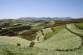 Free The Red Soil Of Dongchuan Royalty Free Stock Photos - 8629058