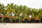 Free Beach Bungalows Stock Photography - 8626502