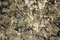 Free Grunge Background Royalty Free Stock Photos - 8627978