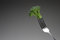 Free Broccoli On Fork, Horizontal Royalty Free Stock Photo - 8628365