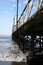 Free Long Pier Royalty Free Stock Photo - 8628375