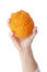 Free Orange In Hand On White Background Stock Photography - 8628782