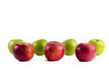 Free Seven  Apples Stock Photo - 8639690