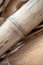 Free Bamboo Stalks Royalty Free Stock Images - 8632349