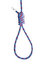 Free Hanging Noose Stock Image - 8635781