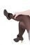 Free Girls Legs Royalty Free Stock Photos - 8642438