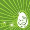 Free Easter Egg With Green Pattern Stock Photos - 8649353