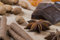 Free Ingredients For Christmas Cookies Royalty Free Stock Image - 8649826