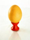 Free One Vertical Egg Isolated On White Stock Image - 8650191