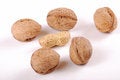 Free Nuts Stock Photography - 8650262