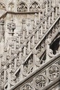 Free Roof Top Of Milan Cathedral Royalty Free Stock Photo - 8650385