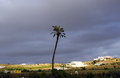 Free Morocco Stock Images - 8654654