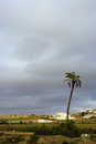 Free Morocco Stock Images - 8654674
